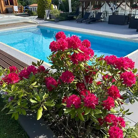 2 Personnes Avec Jacuzzi Privatif Et Piscine Saisonniere Partagee * Corcieux