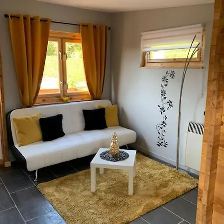 Chalet 2 Personnes Avec Jacuzzi Et Piscine Saisonniere Partagee Corcieux